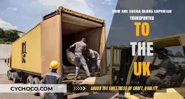 From Farm to Factory: The Journey of Cocoa Beans to the UK