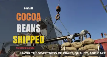 The Journey of Cocoa Beans: From Farm to Factory