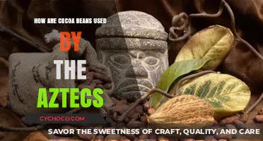 Unlocking the Aztec Secret: The Versatile Uses of Cocoa Beans