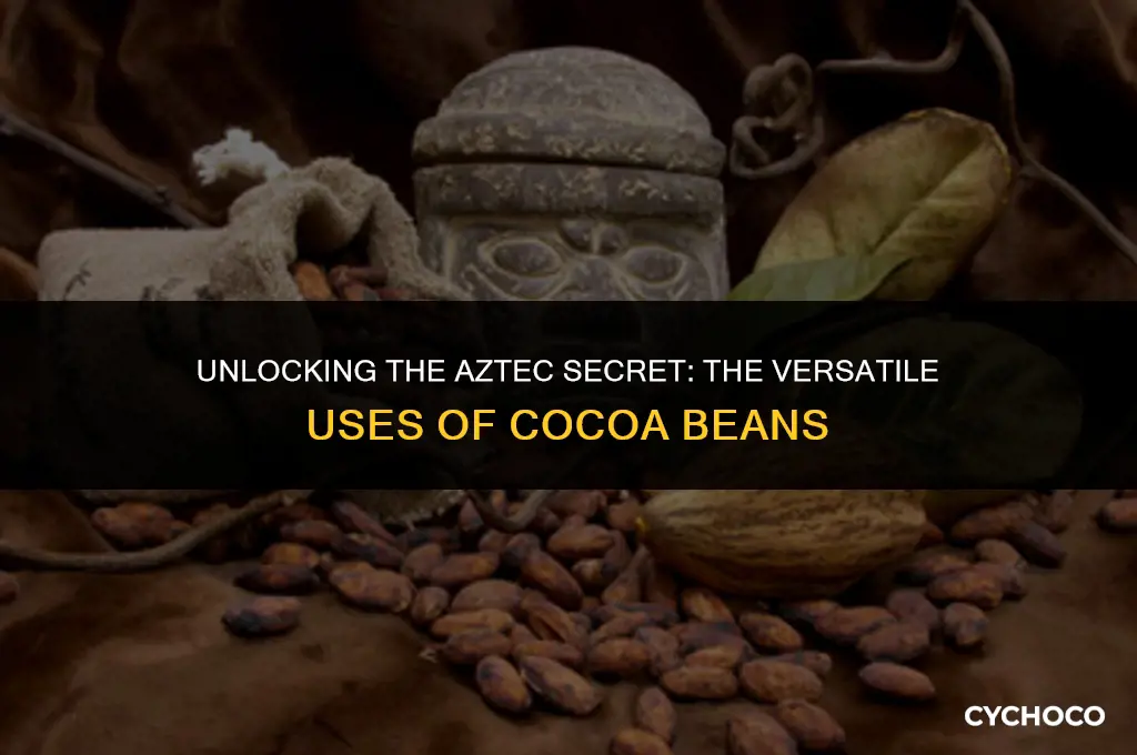 how are cocoa beans used by the aztecs