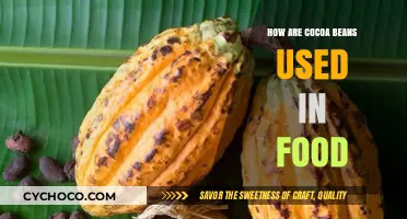 Exploring the Versatile Uses of Cocoa Beans in Culinary Delights