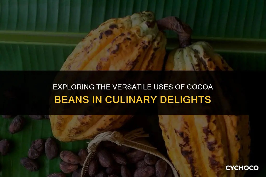 how are cocoa beans used in food