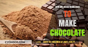 From Bean to Bar: The Chocolate-Making Journey of Cocoa Beans