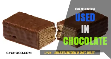 Unlocking the Sweet Science: Enzymes' Role in Chocolate Making