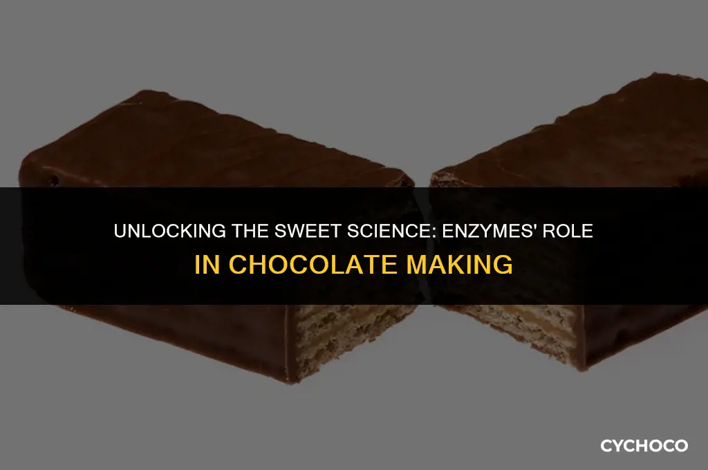 how are enzymes used in chocolate