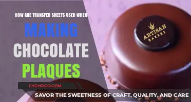 Crafting Edible Masterpieces: The Art of Chocolate Plaque Transfers