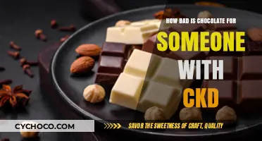 Decoding the Sweet Dilemma: Chocolate's Impact on CKD Patients