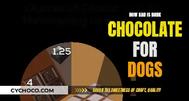 The Dark Side of Dark Chocolate: A Dog Owner's Guide