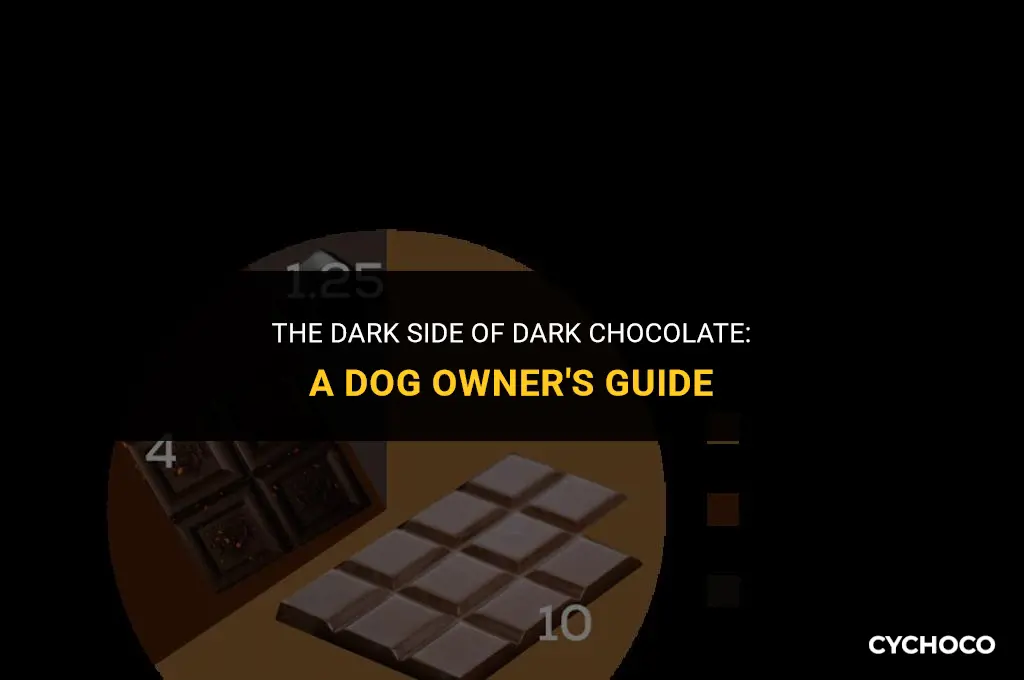 how bad is dark chocolate for dogs