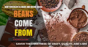 From Bean to Bar: The Journey of Chocolate Making