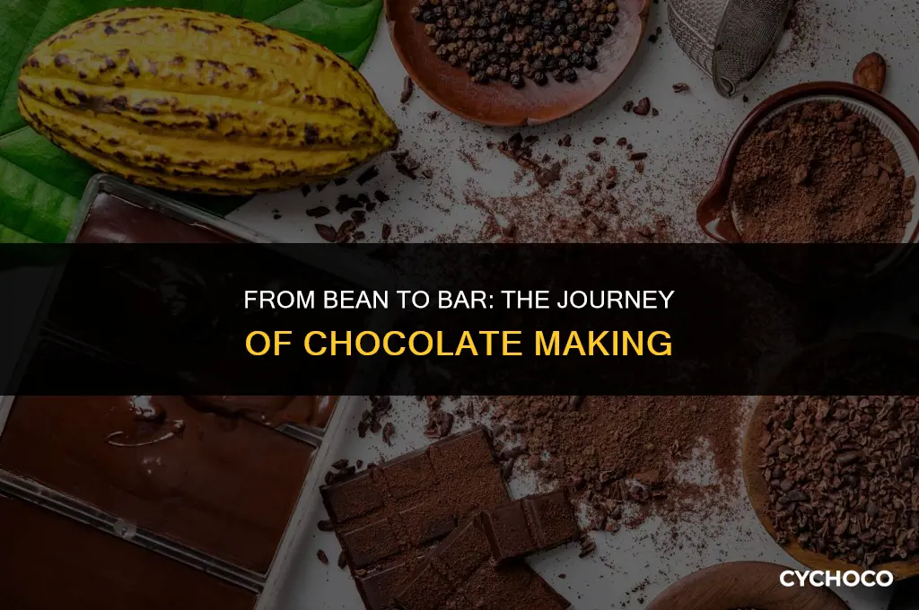 how chocolate is made and where cocoa beans come from