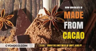 From Cacao to Chocolate: Unveiling the Sweet Transformation Process