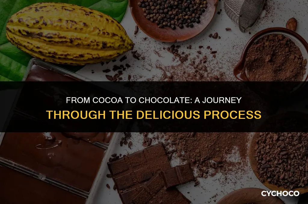 how chocolate is made from cocoa plant