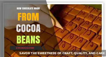 From Bean to Bar: The Art of Crafting Chocolate from Cocoa