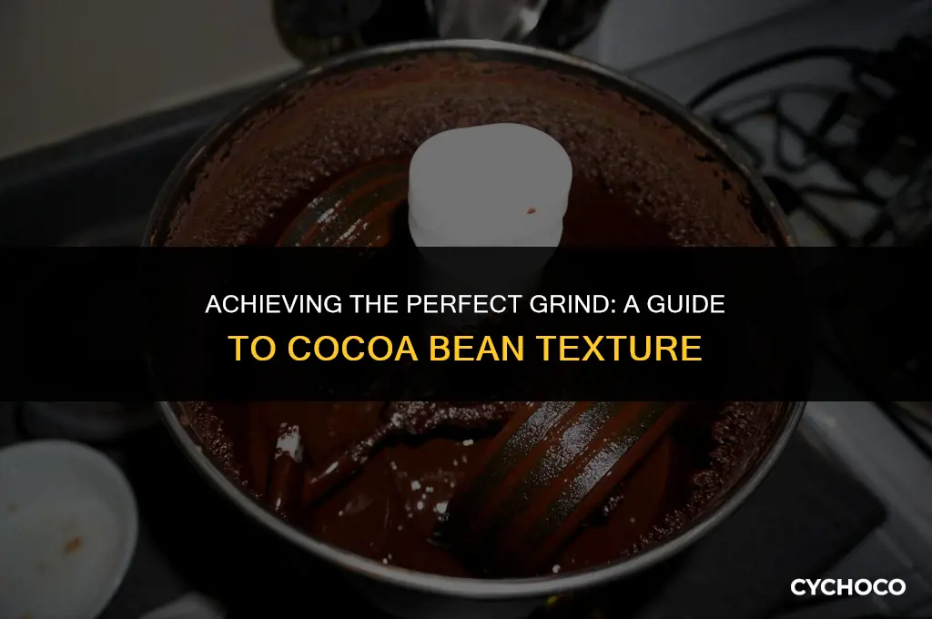 how coarse to grind cocoa beans