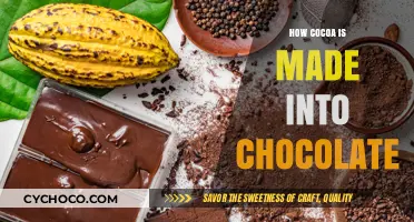 From Bean to Bar: The Artful Journey of Cocoa to Chocolate