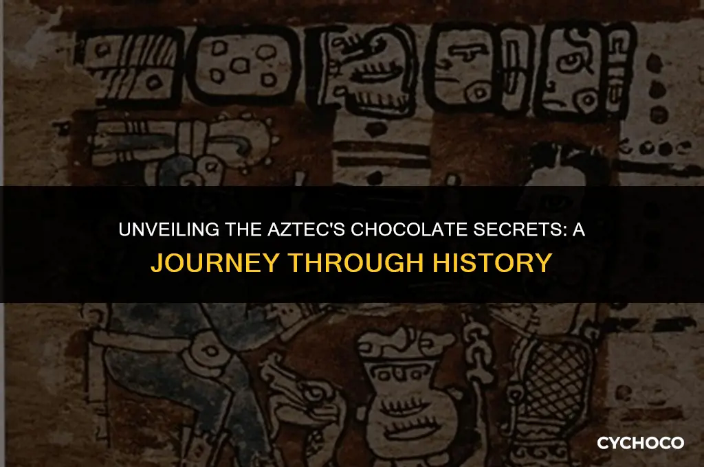 how did aztecs use chocolate