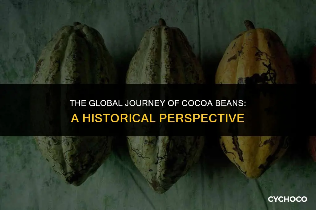 how did cocoa beans spread around the world