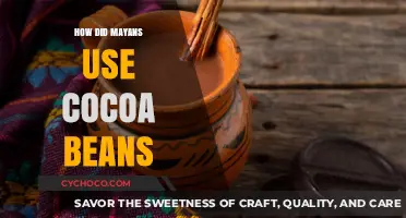 Unveiling the Mayan Civilization's Rich Cocoa Bean Legacy