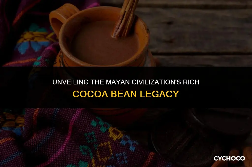 how did mayans use cocoa beans