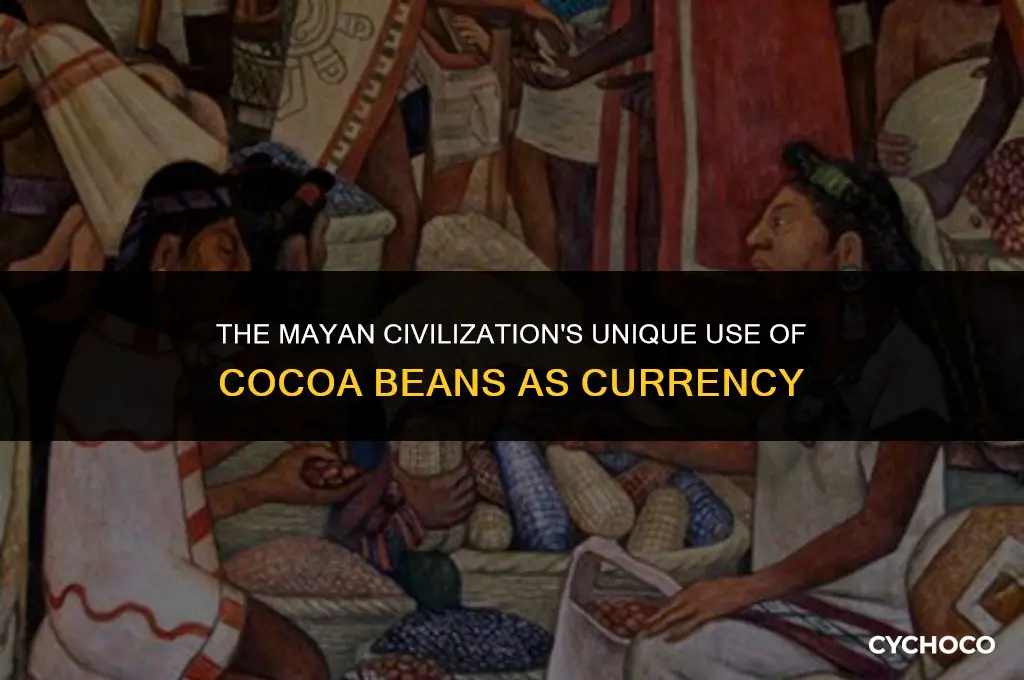 how did the mayans use cocoa beans as money