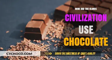Unveiling the Olmec's Chocolate Secrets: A Civilization's Sweet Obsession