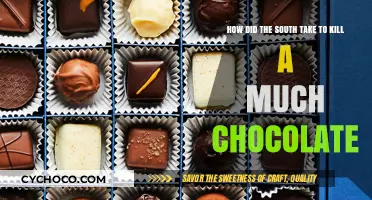 Decadent Delights: How the South Embraced Chocolate Extravagance