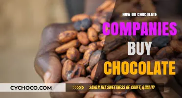 Decoding the Cocoa Market: How Chocolate Companies Source Their Sweet Gold
