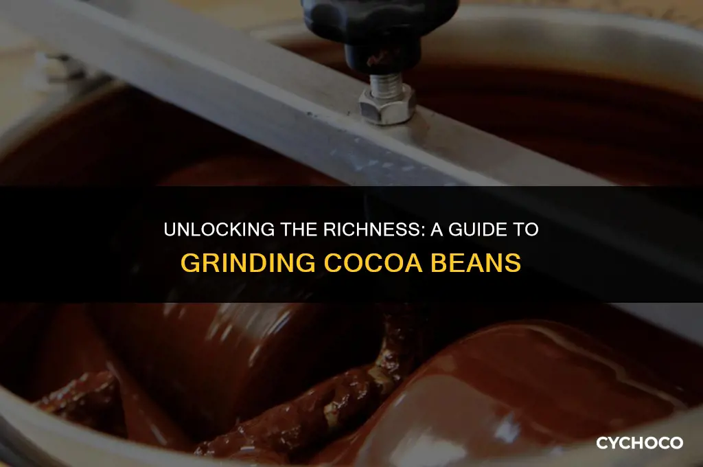 how do i grind cocoa beans
