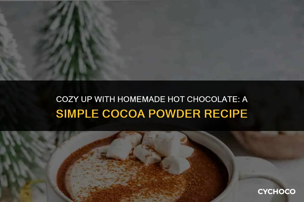 how do i make hot chocolate with cocoa powder