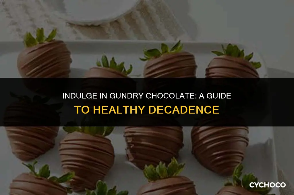 how do i use gundry chocolate