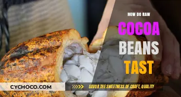 Unveiling the Rich Flavors: A Journey into Raw Cocoa Beans