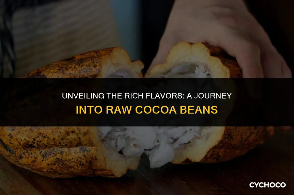 how do raw cocoa beans tast