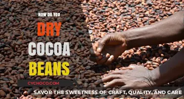 The Art of Drying Cocoa Beans: A Comprehensive Guide