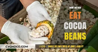 Unlocking the Richness: A Guide to Savoring Cocoa Beans