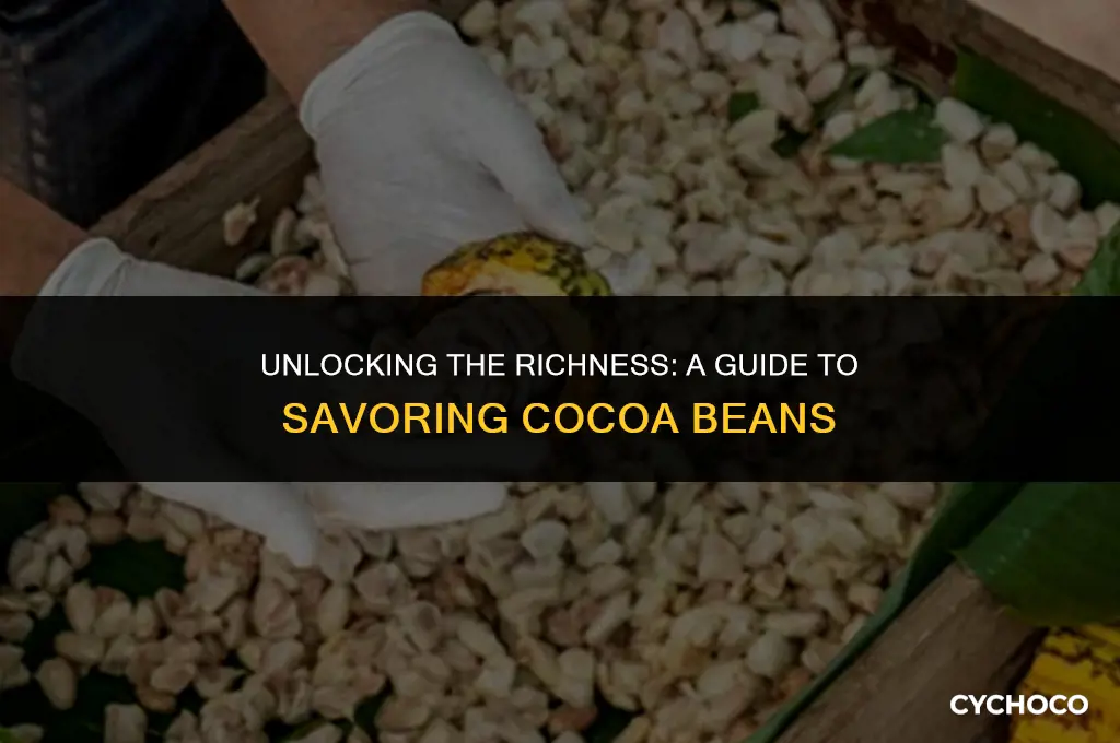 how do you eat cocoa beans