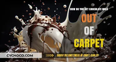 Effective Ways to Remove Chocolate Milk Stains from Your Carpet