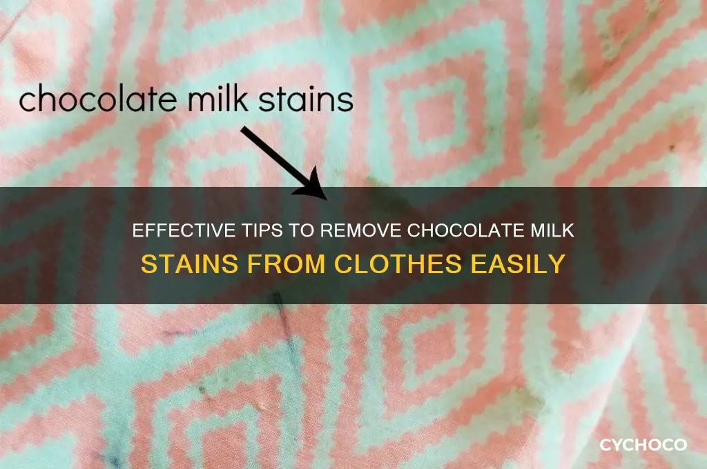 how do you get chocolate milk out of clothes
