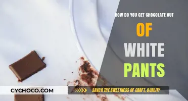 Chocolate on White Pants: A Guide to Easy Stain Removal