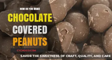 Delicious Homemade Chocolate-Covered Peanuts: A Simple Recipe Guide