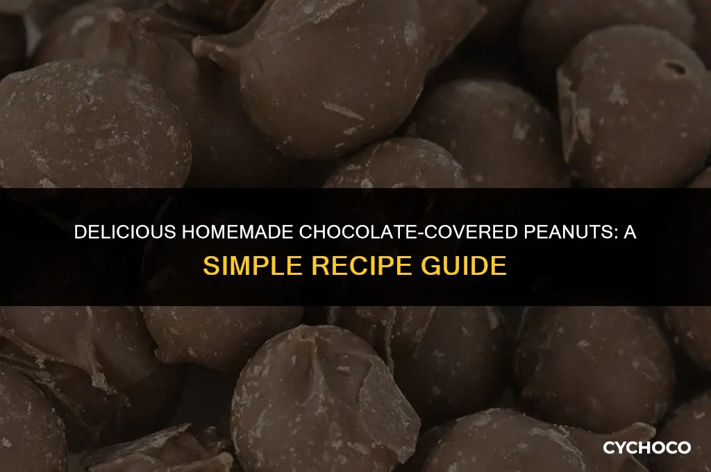 how do you make chocolate covered peanuts