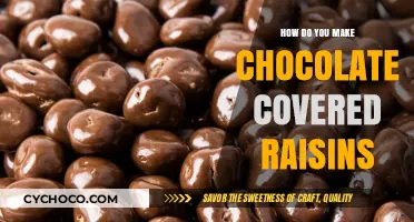Delicious Homemade Chocolate-Covered Raisins: A Simple Recipe Guide