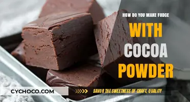 Decadent Homemade Fudge: A Simple Cocoa Powder Recipe