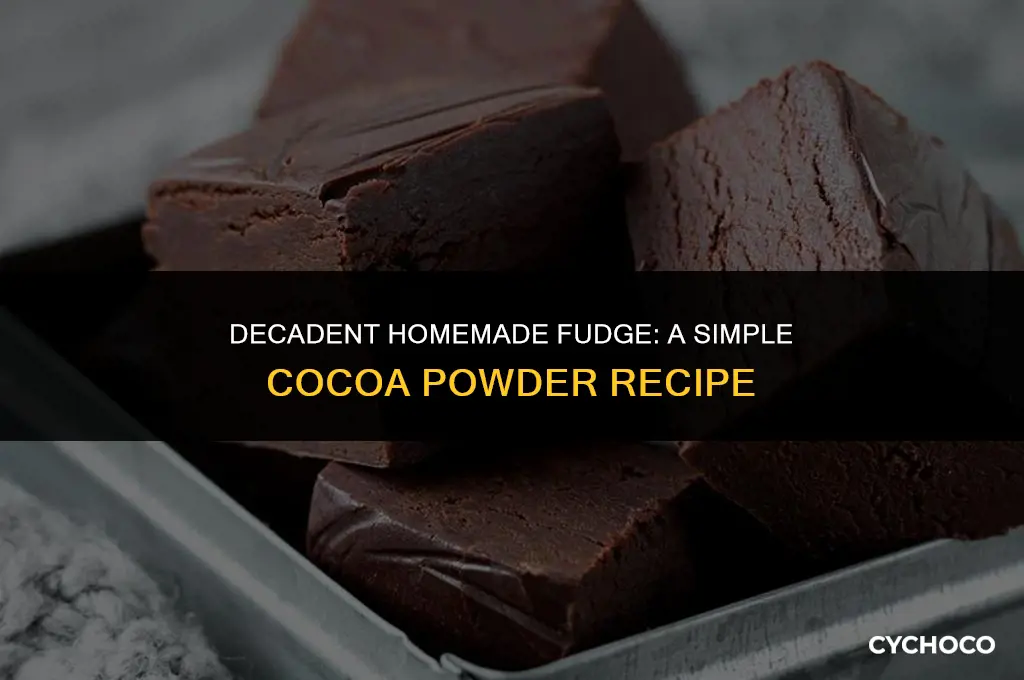 how do you make fudge with cocoa powder