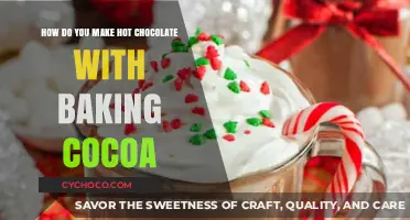 Rich and Creamy: Baking Cocoa Hot Chocolate Recipe