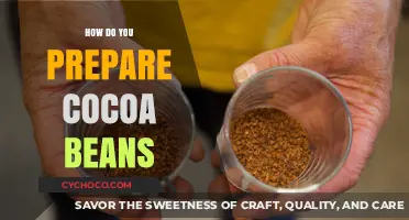 From Bean to Bliss: The Art of Preparing Cocoa Beans