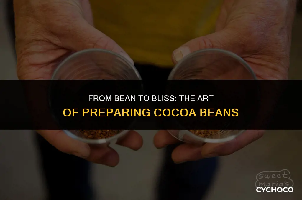 how do you prepare cocoa beans