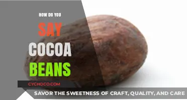 Exploring the Global Lexicon of Cocoa Beans: A Linguistic Journey