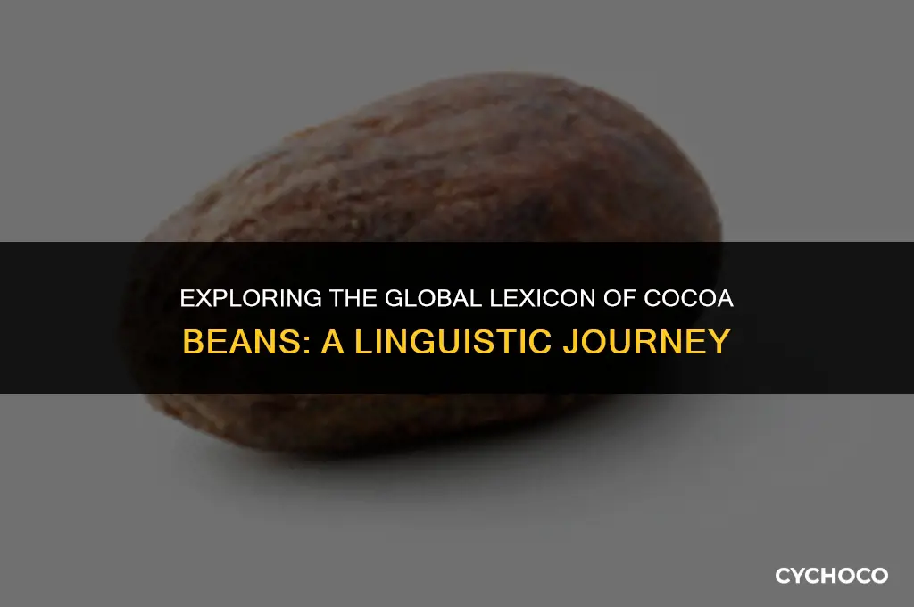 how do you say cocoa beans