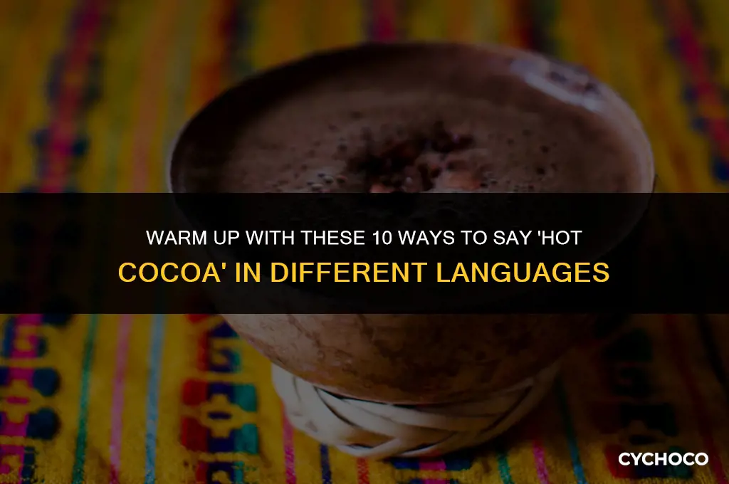 how do you say hot cocoa